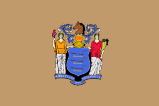 new jersey state flag