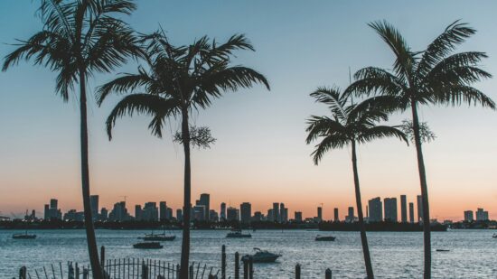I took this picture when I went to Ultra Music Festival, Miami in 2019