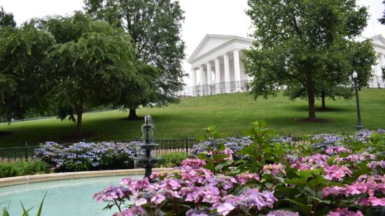 1772743893-13379-4181-lxb_photoCtknYD1I5colxb_photo-