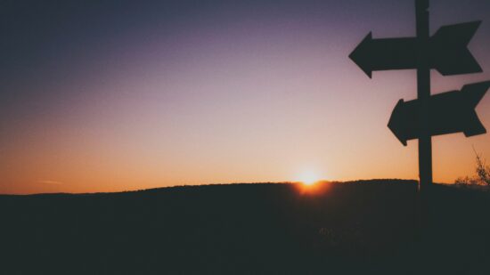 raul-petri-wfVC_75JB9I-unsplash