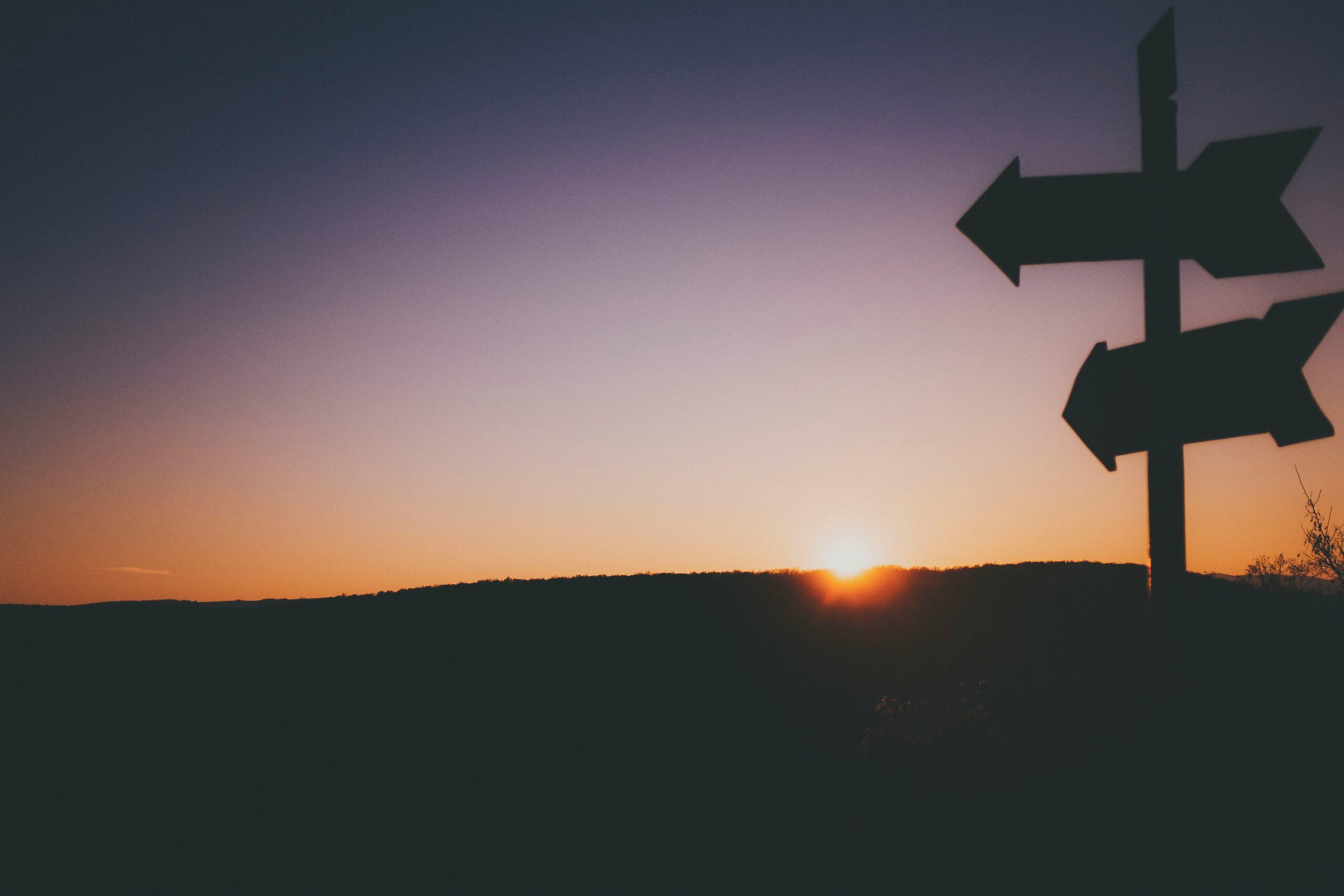 raul-petri-wfVC_75JB9I-unsplash